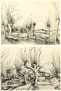 Paisajes con árboles de sauce de Wolf Huber