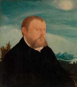 retrato de un hombre de Wolfgang Huber