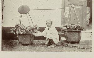 Portador javanés con frutas de Woodbury and Page