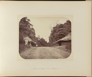Cima del Poentjak, cerca de Buitenzorg de Woodbury and Page