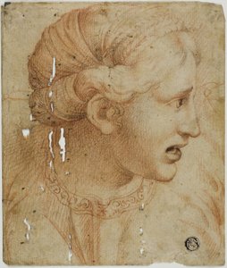 Cabeza femenina de perfil, mirando a la derecha de Workshop of Raphael