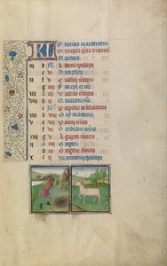Un Hombre Trabajando en el Campo; Signo Zodiacal de Aries