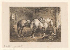 Dos caballos y perros en un establo de Wouter  Verschuur