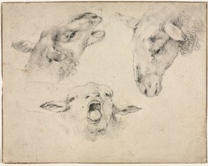 Cabezas de ovejas, segundo o tercer cuarto del siglo XIX de Wouterus Verschuur
