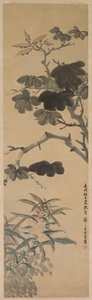 Flowering Plants de Wu Rangzhi