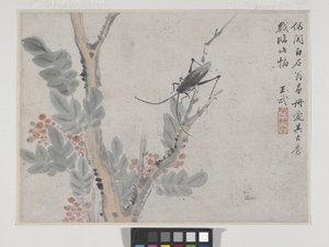 Insecto y árbol según Shen Zhou (tinta y color sobre papel) de Wu Wang