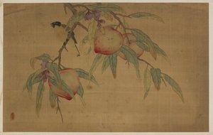 Pájaro, fruta y flores, dinastía Qing, 1741 de Wu Zhang
