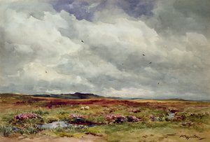 Un día de brisa, Dartmoor de Wycliffe Egginton
