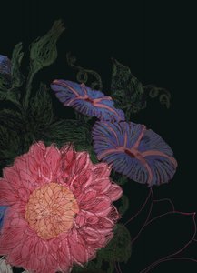 Flores del jardín nocturno de XHOZUCAN