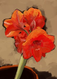 Vibrante flor de amarilis