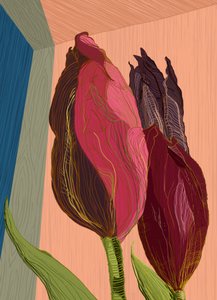 Tulipanes modernos y llenos de color