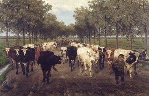 La Meersstraat de Gante de Xavier de Cock