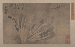 Repollo e Insectos de Xu Daoguang