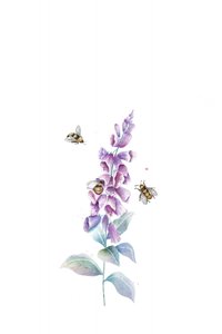 Abejas y flores en acuarela de Xuan Thai