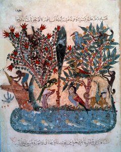 La isla misteriosa poblada de animales extraños. Miniatura del “Maqamat” (Sesiones) de Abu Mohammed al-Kasim ibn Ali Hariri, iluminado por Yahya Mahmud al-Wasiti en 1237, París, B.N. de Yahya ibn Mahmud Al Wasiti