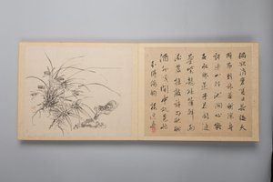 Elegancia refinada en las cuatro estaciones Shiji seiga, Álbum de pinturas de flores, 1844 de Yamamoto Baiitsu