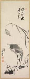 Garza y Juncos de Yang Ki hun