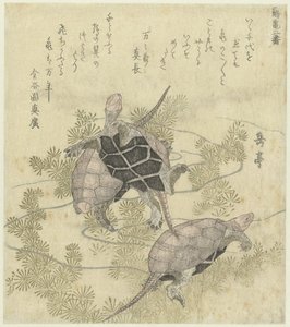 Tres tortugas entre plantas acuáticas Una serie de dos grabados de grullas y tortugas (título de la serie) Tsurukame niban (título de la serie sobre el objeto)