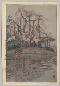 Ocho Escenas de Flores de Cerezo: Lluvia de Primavera (Sakura no reclama: Harusame) de Yoshida Hiroshi