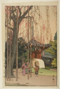 El cerezo en Kawagoe