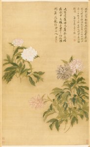 Peonías, 1685 de Shouping Yun