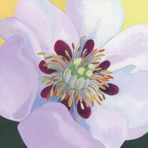  de Yvonne Gustafsson