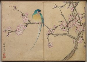 Álbum de escritorio: Pinturas de flores y aves Pájaro con flores de ciruelo, siglo XVIII