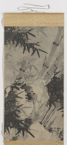 Bambú de Zhengxing (bijnaam Wuzhai)