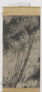 Bambú de Zhengxing (bijnaam Wuzhai)