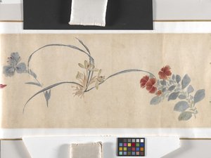 Flores de colores de Zhimian Zhou