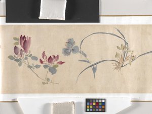 Flores de colores de Zhimian Zhou