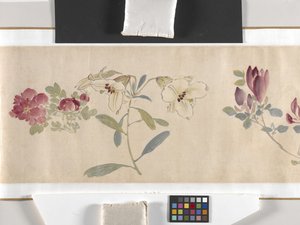 Flores de colores de Zhimian Zhou