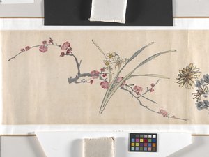 Flores de colores