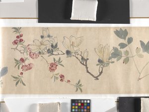 Flores de colores de Zhimian Zhou