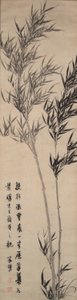Bambú de Zhu Lu