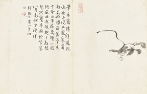 Paisajes y flores, álbum de seis hojas de Zhu da Bada Shanren