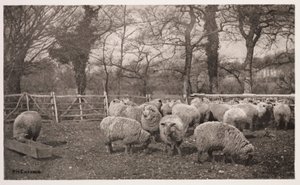 Un pastoral de otoño de Frederick (attr. to) Barnard