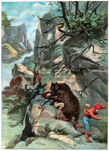 Ataque de oso de . .