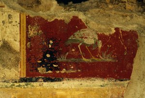 Pájaro, fragmento de fresco, Templo-Criptoportico de Salus Augusta, antigua ciudad romana de Urbs Salvia, Urbisaglia, Marche, Italia