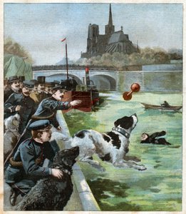 Perro de rescate de John Pardon