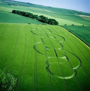 Círculo de cultivo en campo de cebada, Beckhampton, Wiltshire, 5 de junio de 2005 de Ferdinand Georg Waldmuller