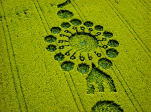 Círculo de cultivo en campo de colza, Milk Hill, Alton Priors, Valle de Pewsey, Wiltshire de Ferdinand Georg Waldmuller