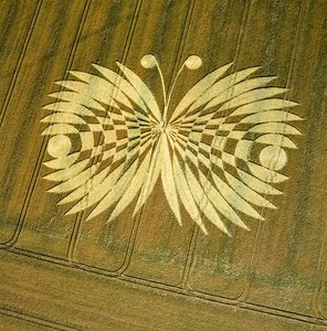Círculo de cultivo en campo de trigo, Hailey Wood, Ashbury, Oxfordshire de Ferdinand Georg Waldmuller