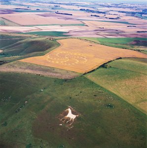 Círculo de cultivo en campo de trigo, Milk Hill, Alton Priors, Valle de Pewsey, Wiltshire de Ferdinand Georg Waldmuller