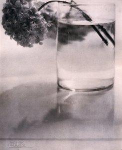Hortensia, c 1907 de John Pardon