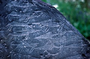 Primer plano de dibujos rupestres en el Parque Nacional de Naquane de Isabel Redie