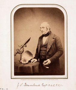 James Scott Bowerbank, geólogo británico de Ferdinand Georg Waldmuller