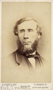 John Tyndall, físico irlandés, c. 1875