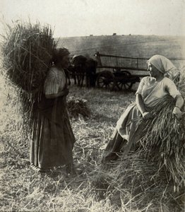 Les Moissonneuses, hacia 1900 de Frederick (attr. to) Barnard
