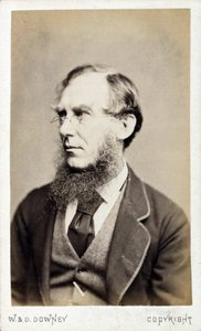 Sir Joseph Dalton Hooker, botánico británico, finales del siglo XIX de Ferdinand Georg Waldmuller